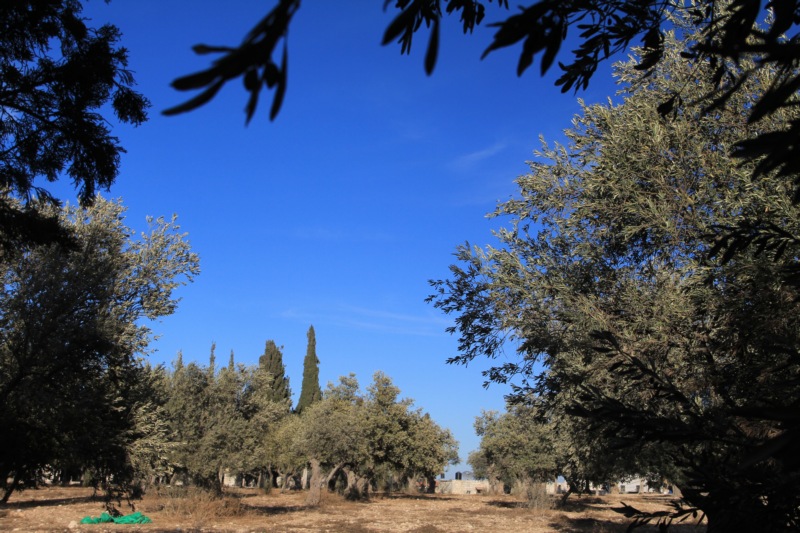 Small Galilee