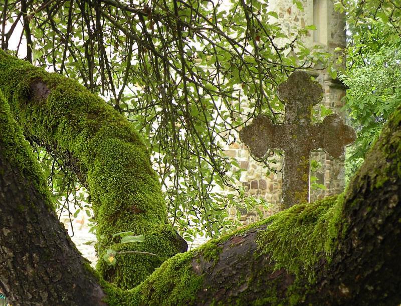 Cross 1