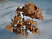 gorankul 
Срећан Вам БАДЊИ ДАН 
2013-01-05 21:30:40