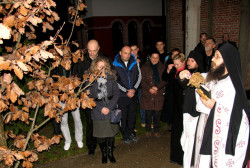 Miladin.Š 
KLISINA - Badnjak 2013 
2013-01-06 22:32:01