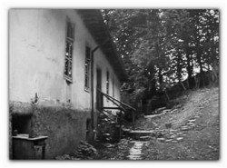 sepia 
...a few years ago 
2013-01-09 21:26:57