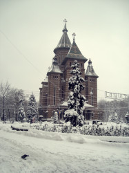 Diandra 
Catedrala Mitropolitană Timişoara 
2013-01-15 20:45:05
