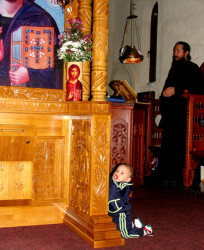 Miladin.Š 
RASTEM :) 
2013-01-17 20:17:23