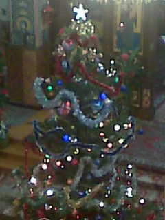tomekl115 
Йелочка в Храме 
2013-01-19 15:20:04