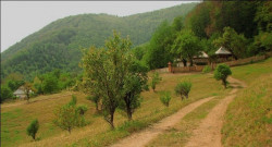 ursiy 
Hermitage Locurele 
2013-01-20 16:38:18