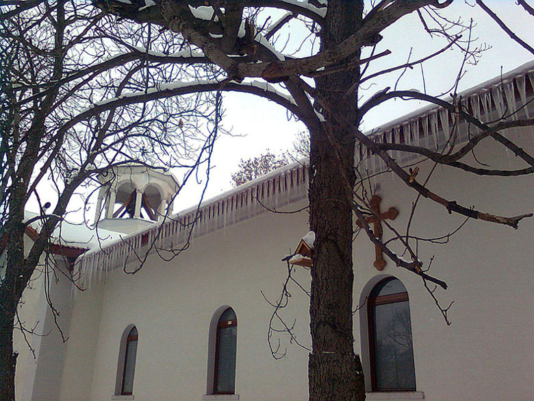 Ледена украса // Icy decoration