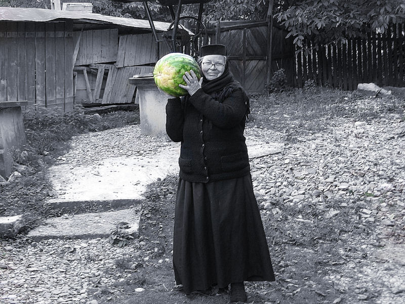 The melon