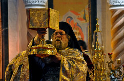 AleksaSrbin 
на св.Саву 2 
78 
2013-02-01 07:12:02
