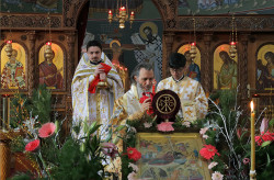 tolmargarita 
Божественная Литургия на Рождество Христово 
2013-02-01 13:31:09