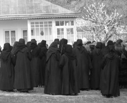 nidacov 
A funeral 
2013-02-16 08:49:40