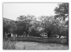 sepia 
...а few years ago    
2013-02-22 21:11:31