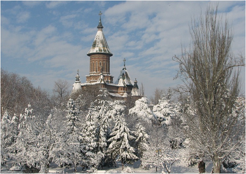 Metropolitan Cathedral of Timisoara (5)