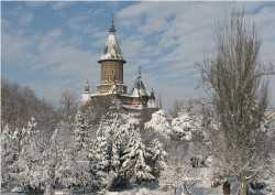 ursache 
Metropolitan Cathedral of Timisoara (5) 
2013-03-04 08:48:46