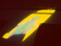 Diandra 
Reflectie 
2013-03-10 13:32:15