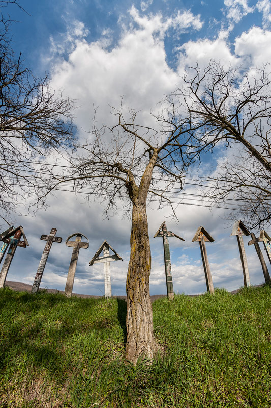 MOSTENI-1, GORJ - 2013
