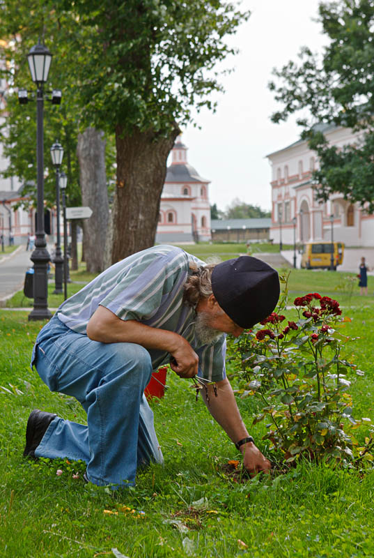 Творец красоты