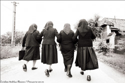 nichitus 
Precum in cer, asa si pe Pamant 
2013-04-07 15:01:43
