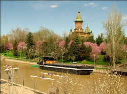 ursache 
Metropolitan Cathedral of Timisoara 
2013-04-15 13:03:58