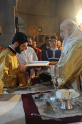 dimitrios09 
Deacon ordained  
2013-04-26 15:04:30