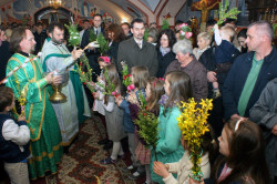 Marfik 
Niedziela Palmowa 
2013-04-28 22:57:46