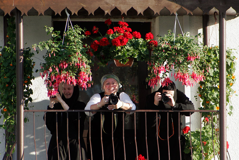 OrthPhoto users /9/