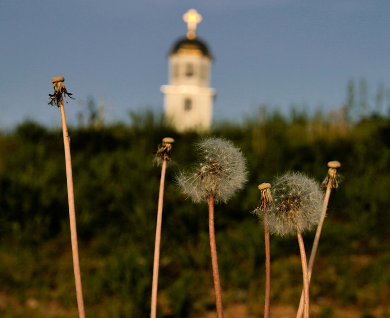 црква