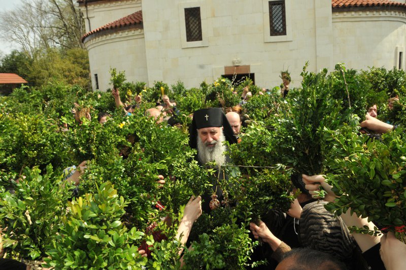 Metropolitan Gerasime (Sharashenidze)