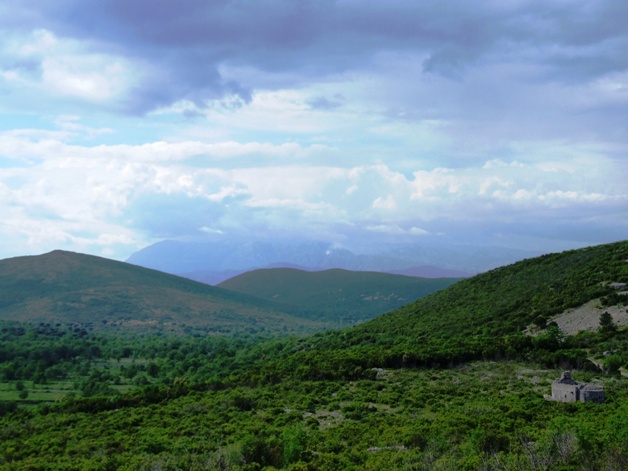 Црква Светих мученика Сергија и Вакха 
