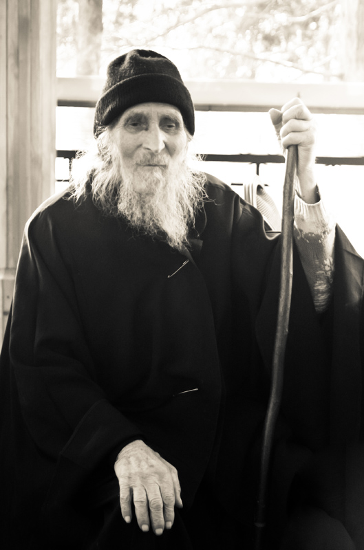Parintele Visarion