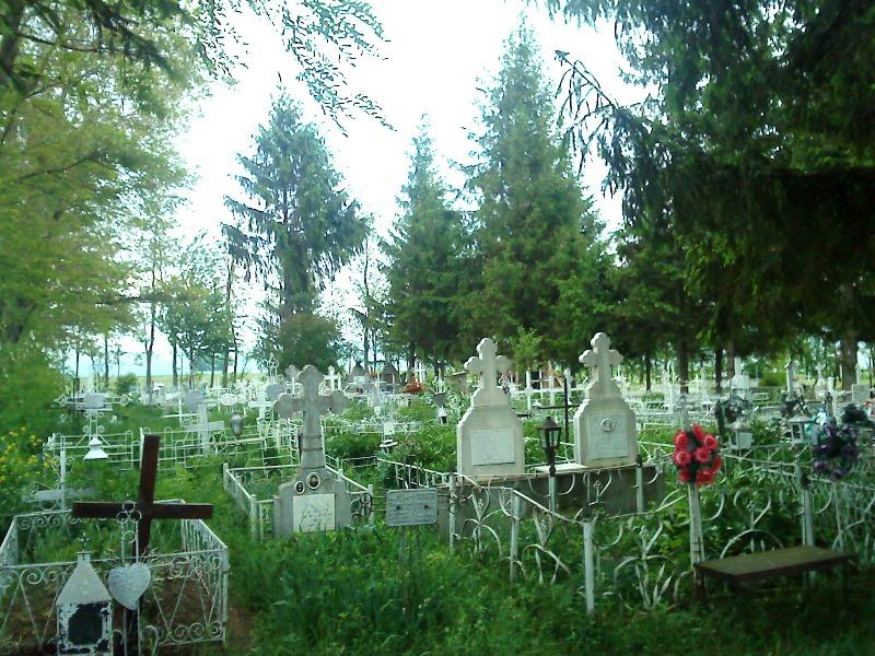 Cimitirul Parohiei Poienita (vara)