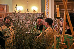 pagerok 
Освящение вербы 
2013-05-03 07:38:58
