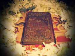oHellKungo 
The Holy Book 
2013-05-03 20:31:07