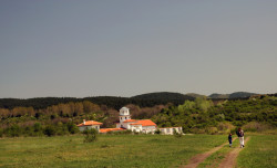 Anima_Mea 
 
2013-05-03 22:03:00