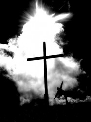 cotne_q 
cross 
2013-05-04 00:31:03