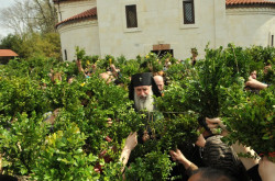 dimitrios09 
Metropolitan Gerasime (Sharashenidze) 
2013-05-04 16:02:40