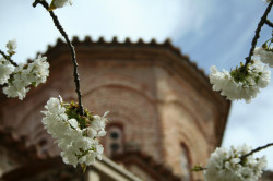 Anima_Mea 
 
2013-05-05 11:58:34