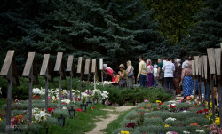 SergiuNicola 
Mormantul parintelui Arsenie Boca de la manastirea Prislop 
2013-05-08 21:49:05