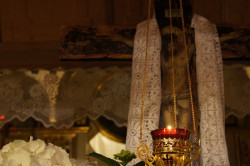 Adrian 
Днесь висит на древе... 
2013-05-09 20:28:47