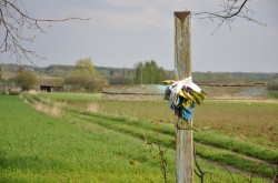 Pit_Zsak_79 
+ 
2013-05-26 13:20:21