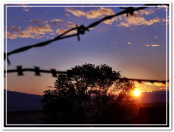bozur 
НАТО окупација / NATO, OTAN occupation 
2013-05-28 10:51:27