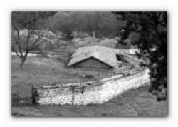 sepia 
...a few years ago 
2013-05-29 20:58:14