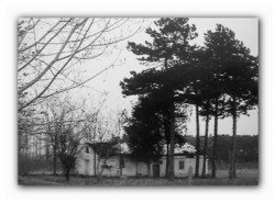 sepia 
...a few years ago 
2013-06-16 11:45:41