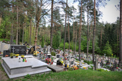 Pit_Zsak_79 
W Podsupraślu. 
2013-06-19 09:10:55