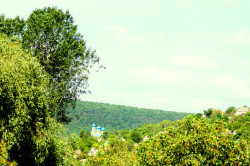 jorjeyorga 
 
2013-06-26 16:20:55