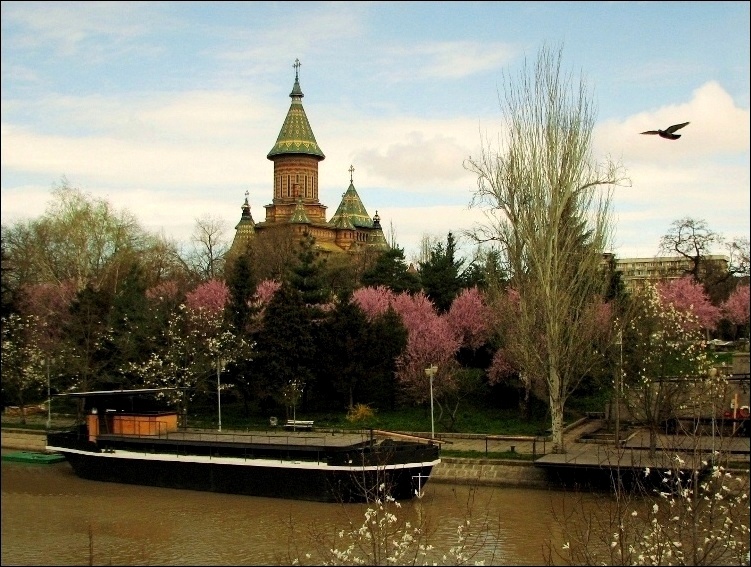 Metropolitan Cathedral of Timisoara