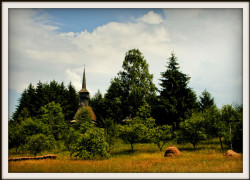flor 
Biserica de lemn  din secolul  XVI ,  Muzeul Satului Maramuresean, Sighetu Marmatiei 
66 
2013-07-02 12:48:51