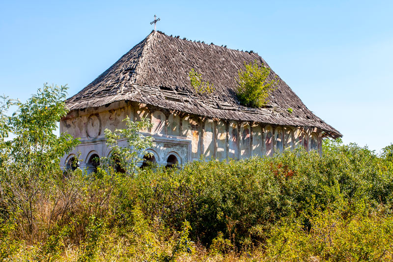 Cojani, Carbunesti - 2013