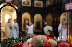 tolmargarita 
Яблочный Спас 
2013-08-24 06:55:19