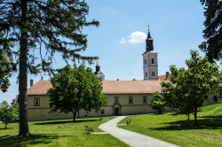 MikaV 
Манастир Крушедол,Србија 
2013-08-28 22:10:07