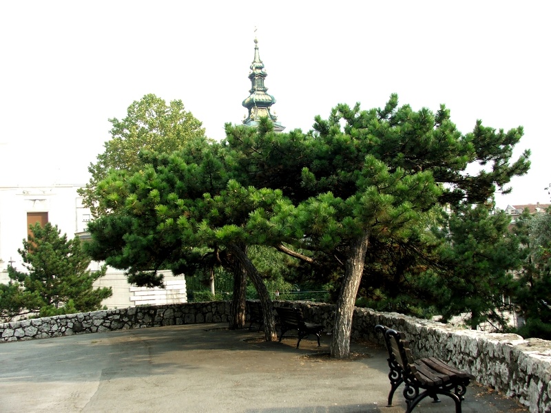 Саборна Црква, Београд